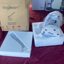 Facial Steamer 