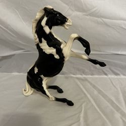 Mustang Stallion rearing black and white