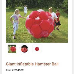 Giant Hamster Ball