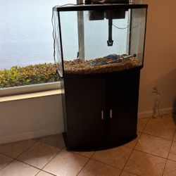 Bow Front Fish Tank 
