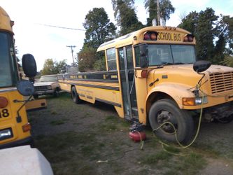 Bus