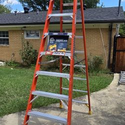 Escalera Werner 10ft