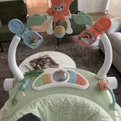 Like New Baby Bouncer