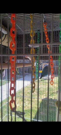 Bird cage with water cups and bird houses
