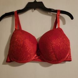 BEBE Dark Orange Lace Push Up Bra New