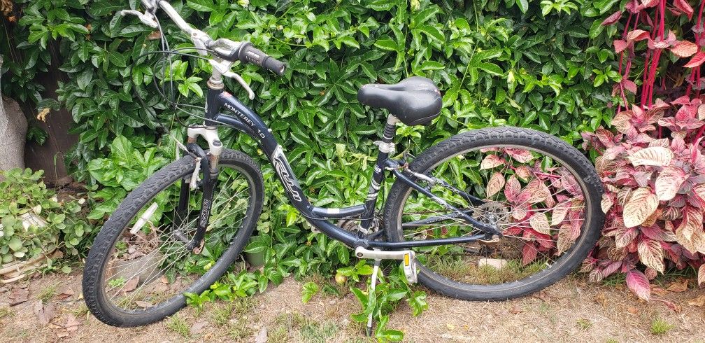 Cruiser Bike
