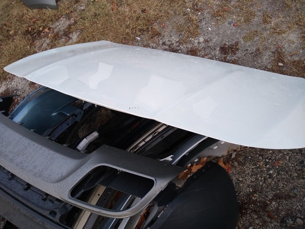 Mercedes Hood 2015 and around