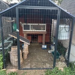 Chicken/rabbit Hutch