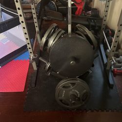 Home Gym Including Bicycle 