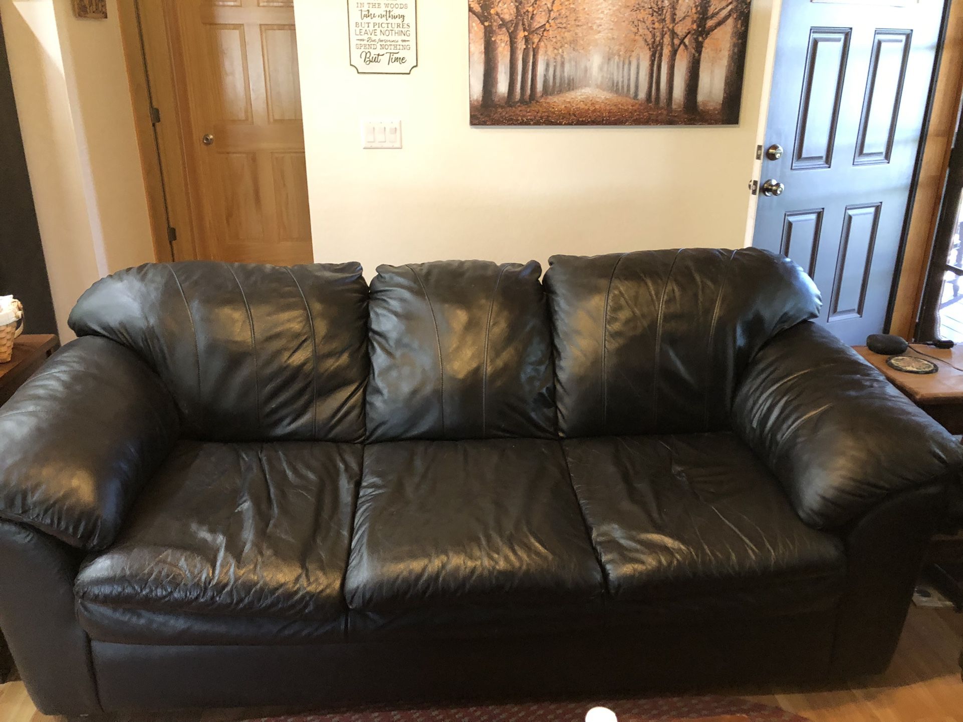 Couch/ Leather 