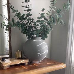 Eucalyptus Stems