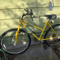 Schwinn Frontier Bike
