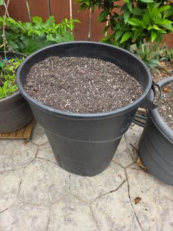 Organic Potting soil