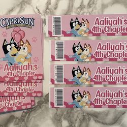 Bluey Girl Theme Birthday Party Labels Stickers Water Chip Bag Cheetos