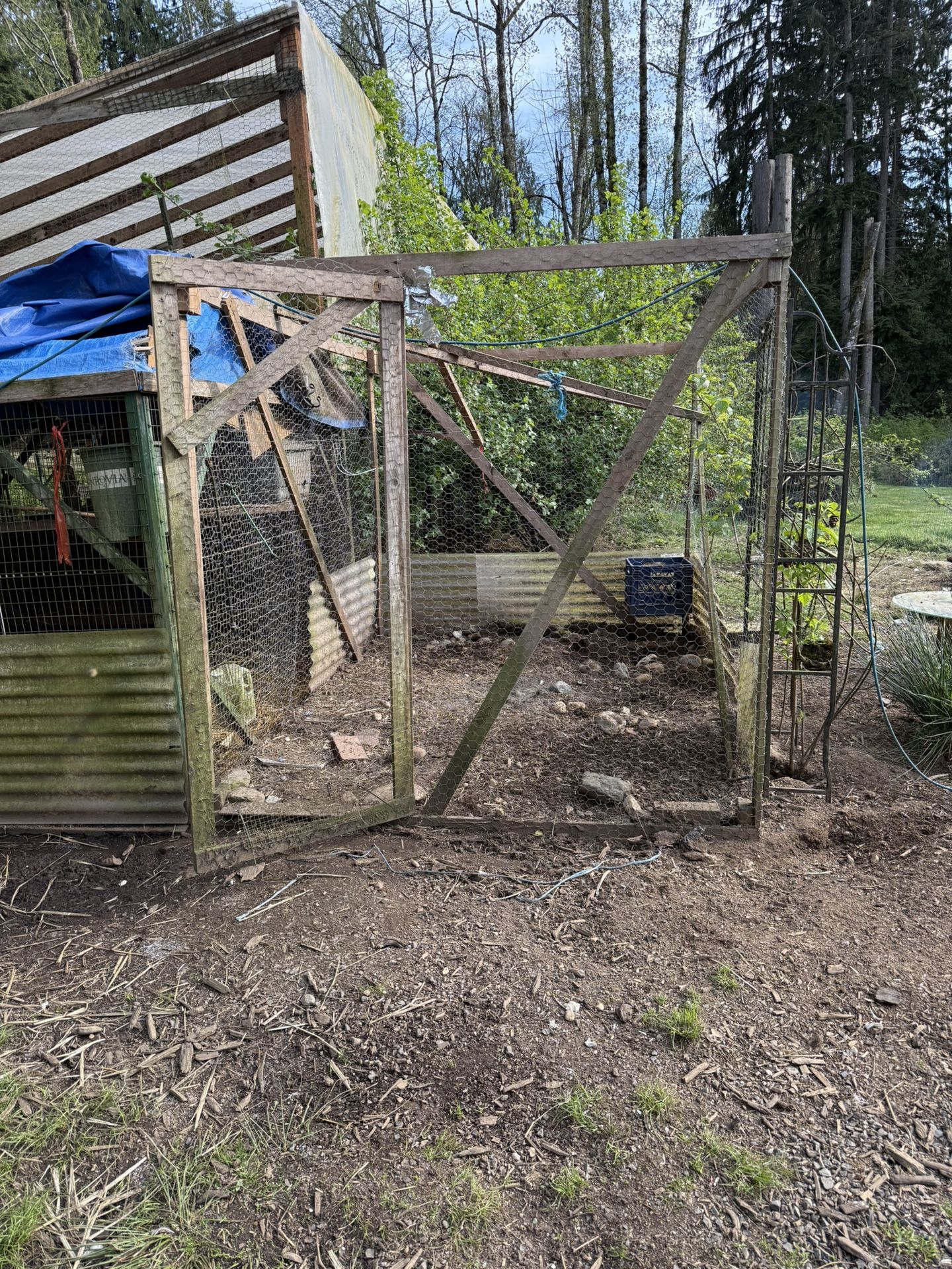 chicken run