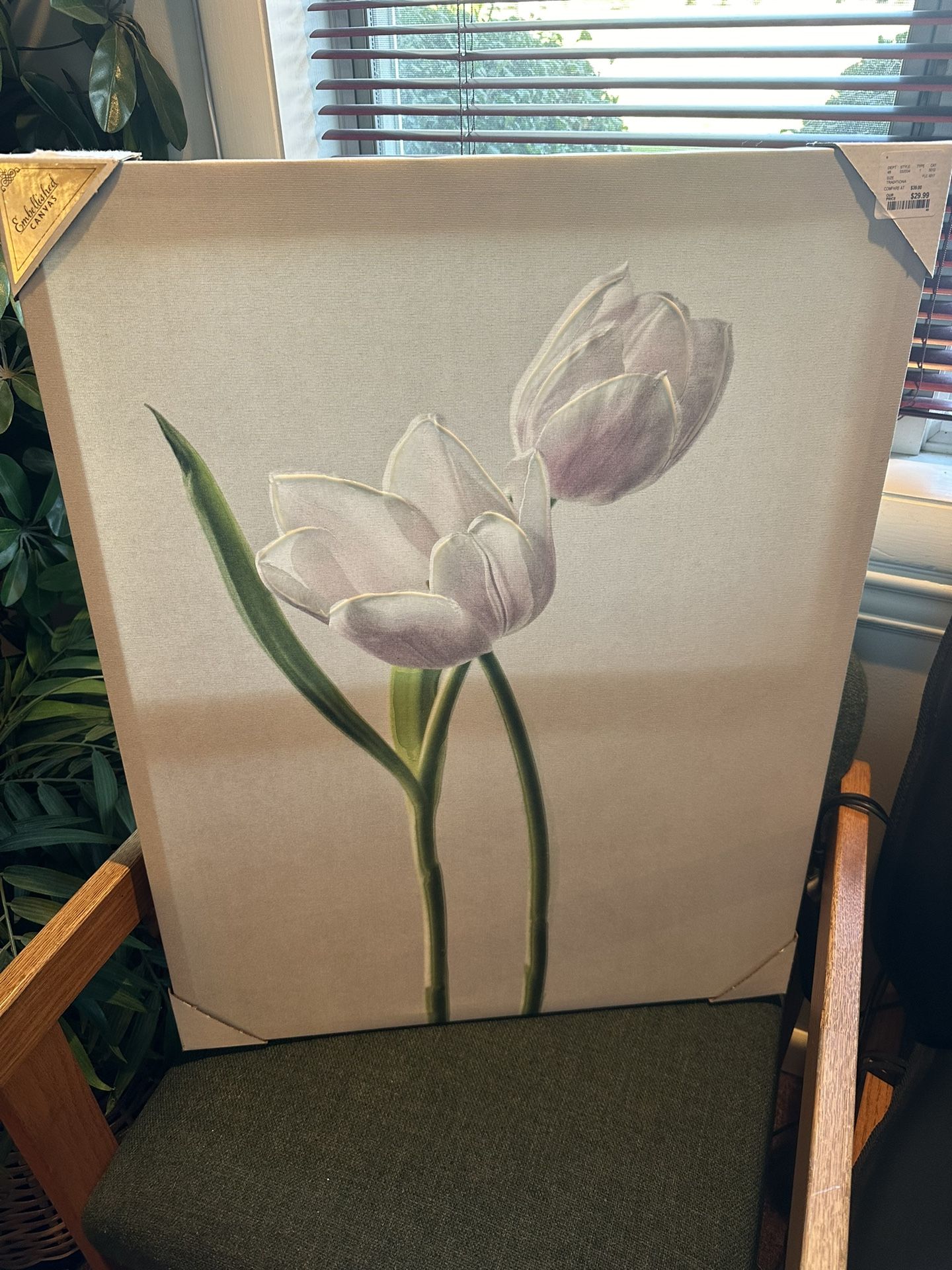 Canvass Print Of Tulips (New!)