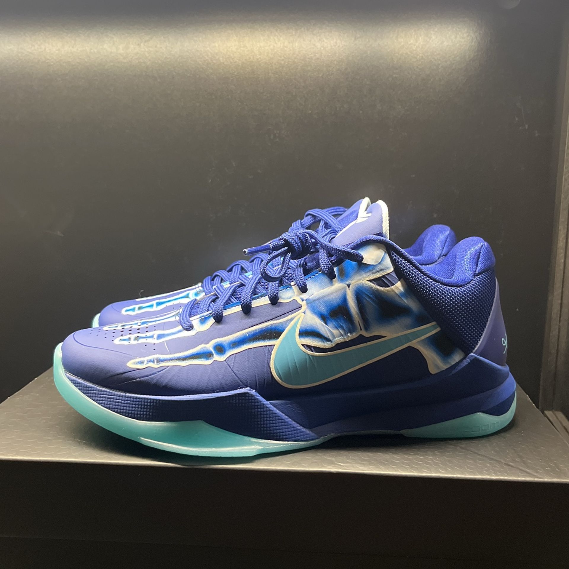 Kobe 5 X- RAY (5.5 Y)
