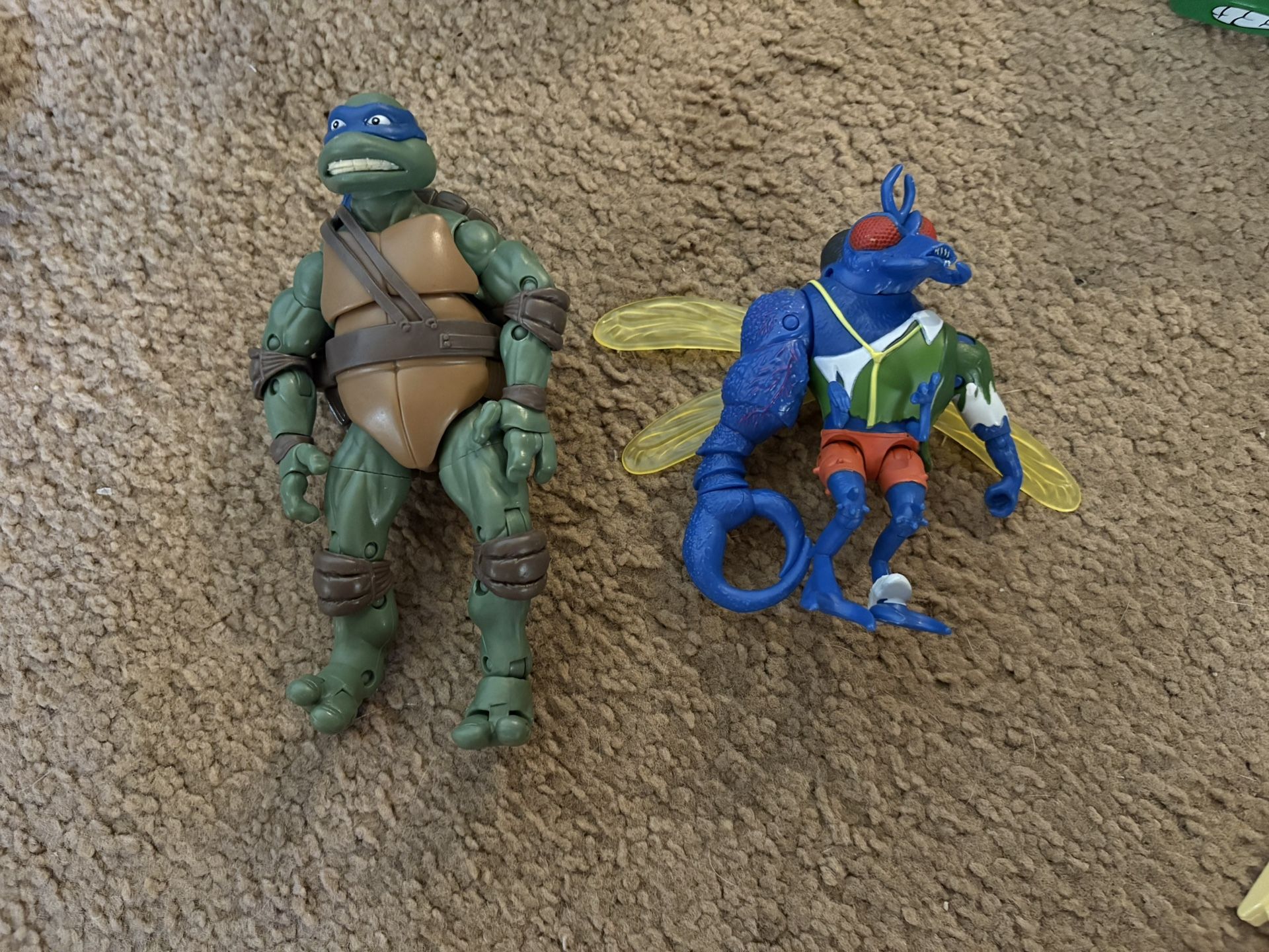 Leonardo And Super Fly 