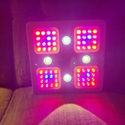 LED Grow Light