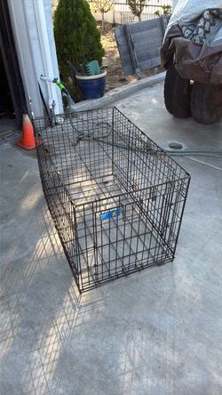 Folding double door crate