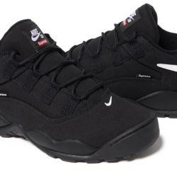 Supreme Nike SB Darwin Low - Black