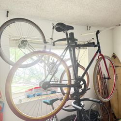 Fixie Or Freewheel