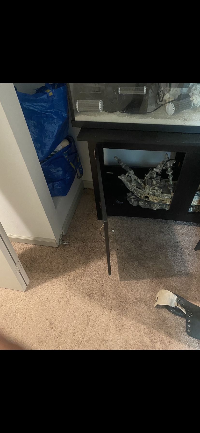 Fish Tank Aquarium $300