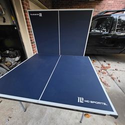 Ping Pong Table