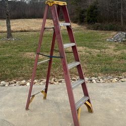 6 Foot Ladder