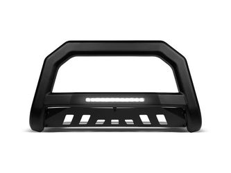 Bull bar with light bar