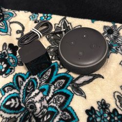 Amazon Echo Alexa