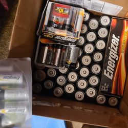 D Sized Commercial Grade Batteries