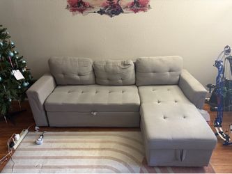 Modern L-Shaped Sleeper Sofa Pull Out Sectional Sofa With Storage Chaise