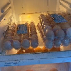 Huevos A 6 La Docena