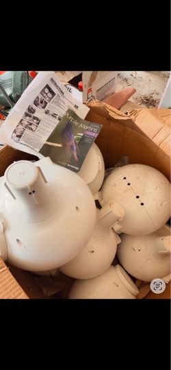 Purple Martin Bird House Gourds Set
