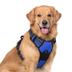 rabbitgoo Dog Harness No Pull with 2 Leash Clips