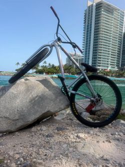 Mafia bike - grey 29 inch Bomma Thrust