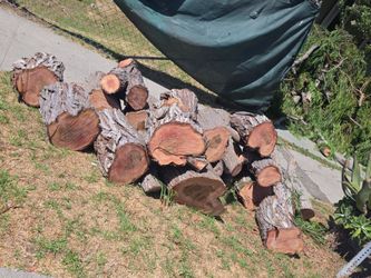 Free eucalipto firewood