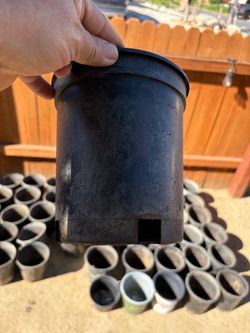 Black Plastic Nursery Pots Lot $25 for all , por todas or, 50 cents each