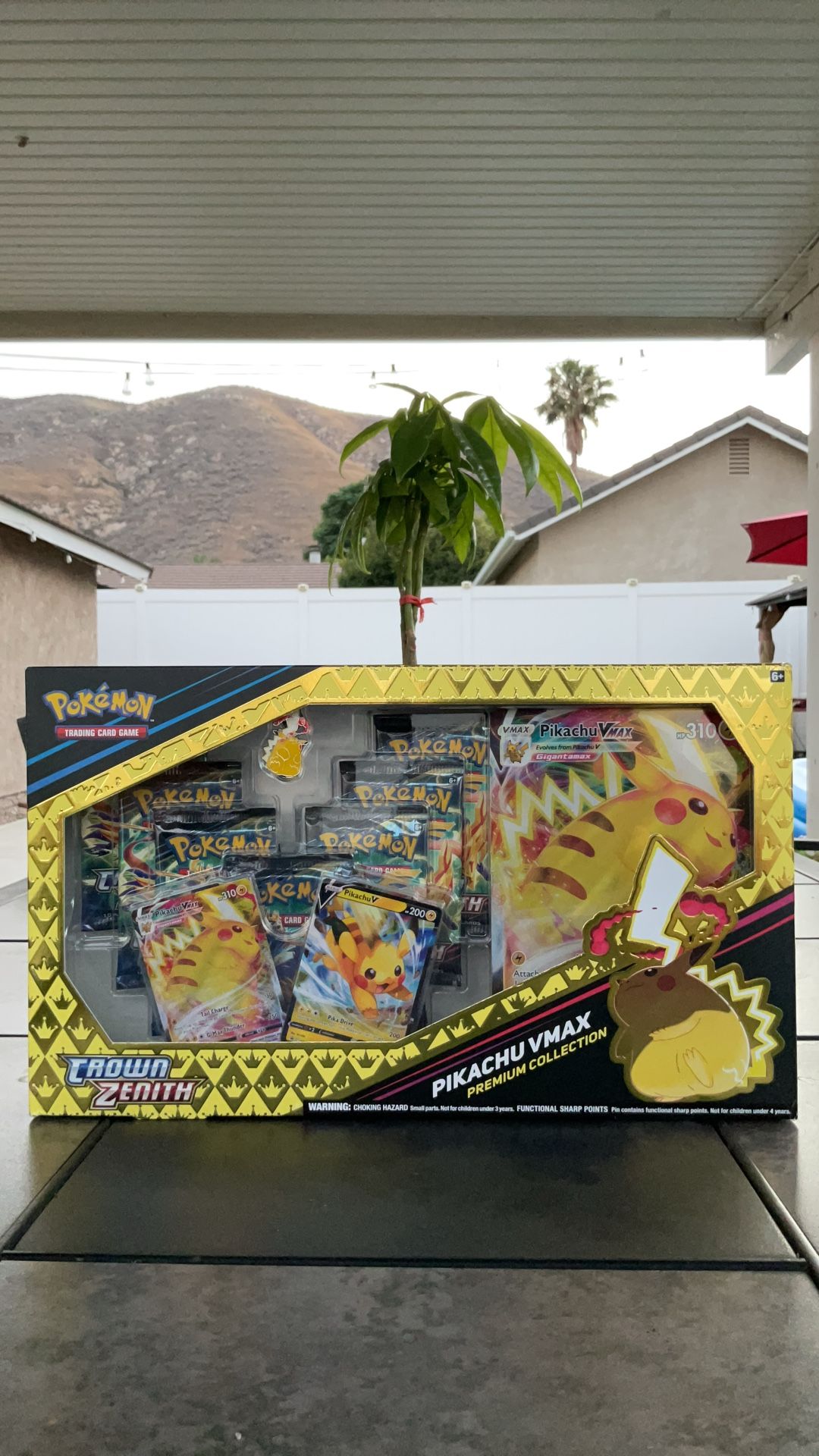 Pokemon Crown Zenith Pikachu Vmax Premium Collection