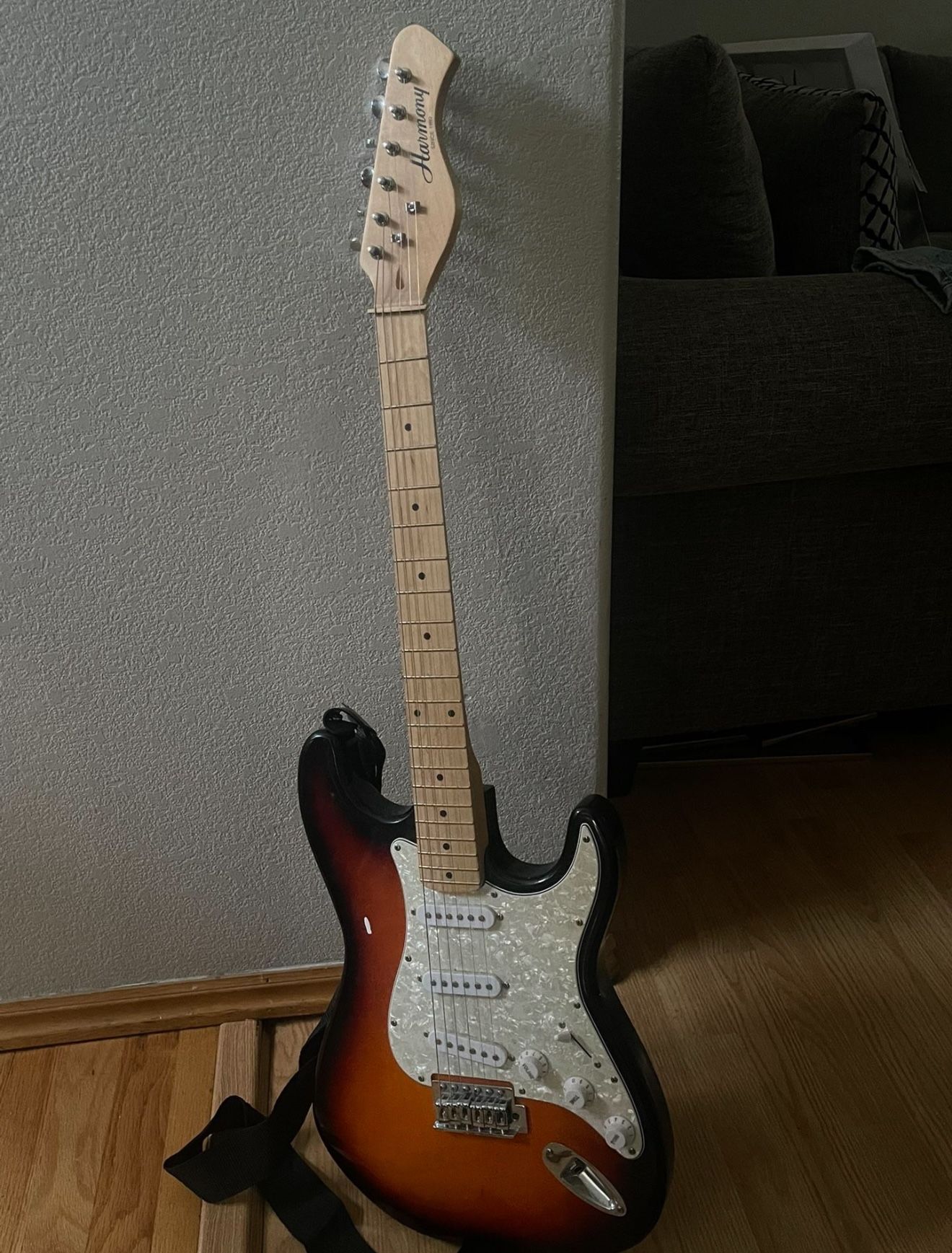 Harmony Guitar, Harmony Amplifier, Guitar Bag