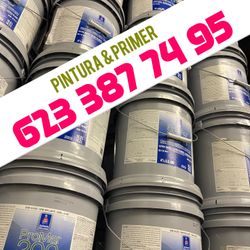 Semigloss Flat Eggshell Paints 