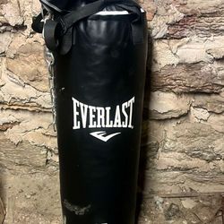 Everlast Punching Bag With Gloves