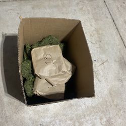 18 Moss Covered Numbers
