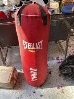 Everlast punching bag