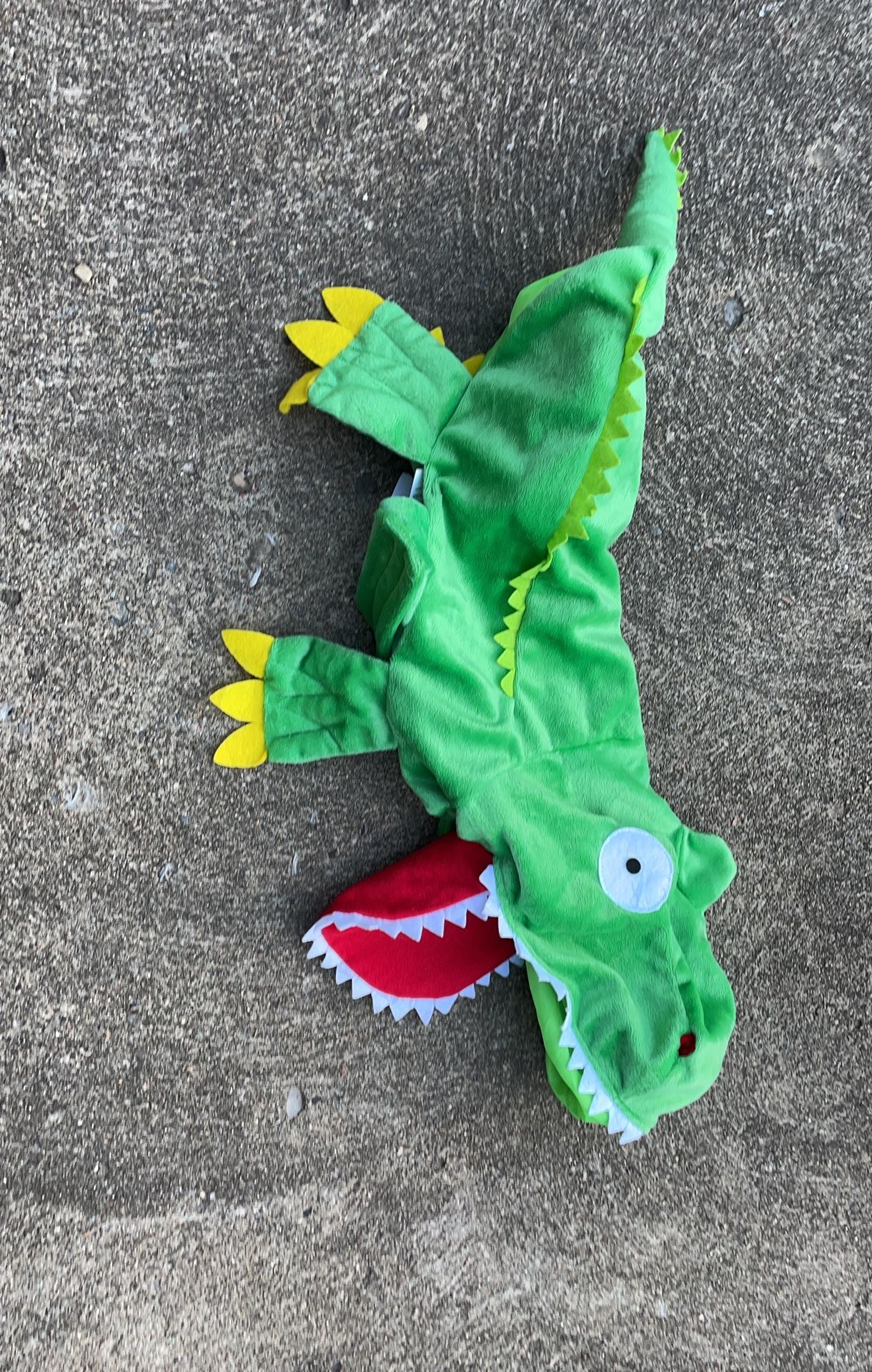 Dog costume