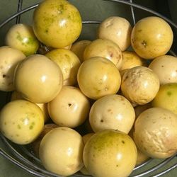 Passion Fruit Plant - Have Passion Fruit Pulp 