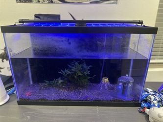 Fish Tank And Accessories