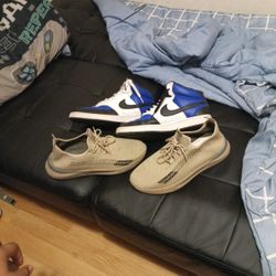 Both For 100 Brown Blue And White