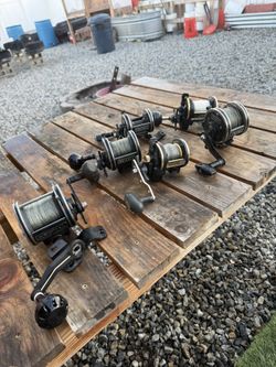 Newell And Daiwa Reels